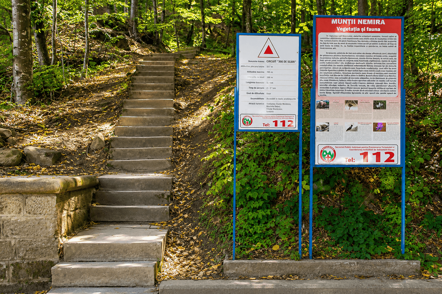 Hiking pe trasee montane