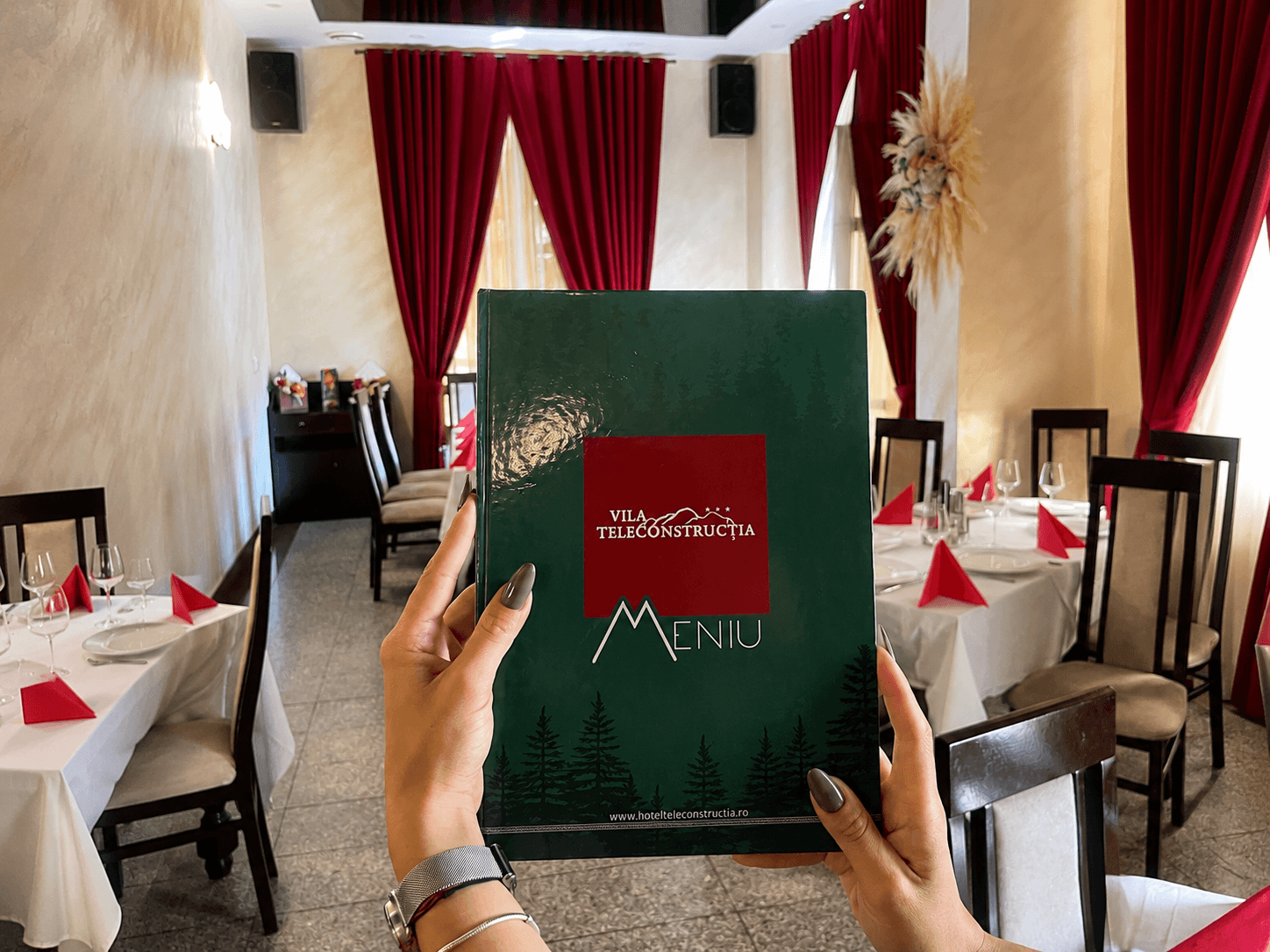 Restaurant Vila Teleconstrucția 5
