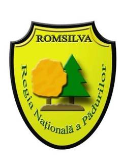 Romsilva